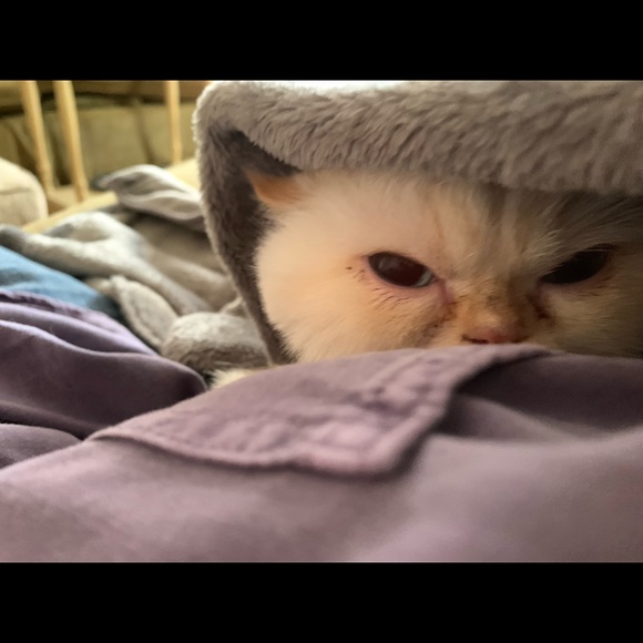 Meet your Posher, Christina - Picture 1 of 1